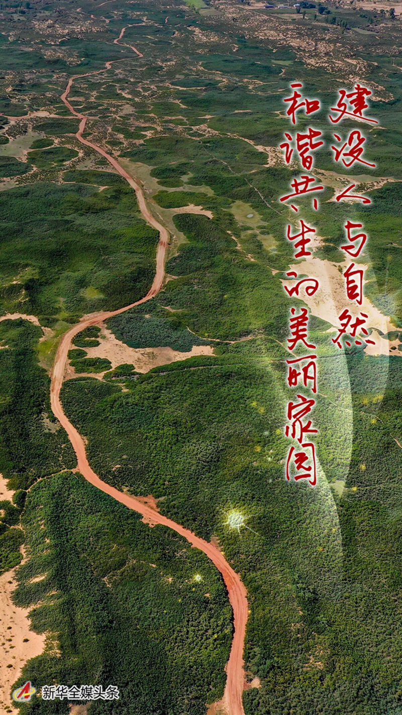 建设人与自然和谐共生的美丽家园——习近平生态文明思想基层生动实践新观察.jpg