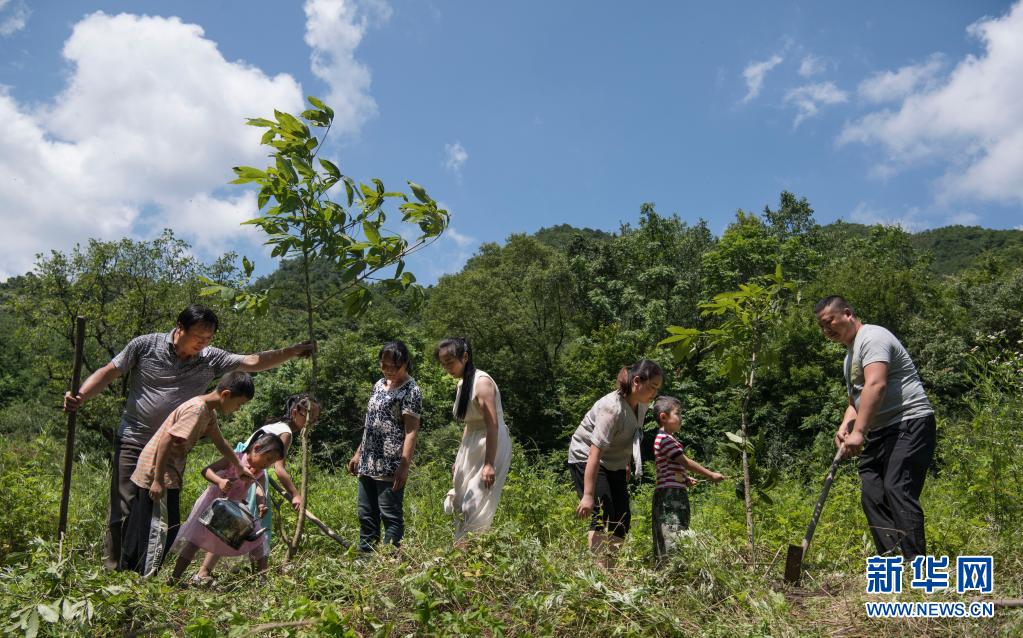 建设人与自然和谐共生的美丽家园——习近平生态文明思想基层生动实践新观察6.jpg