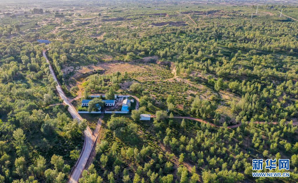 建设人与自然和谐共生的美丽家园——习近平生态文明思想基层生动实践新观察11.jpg