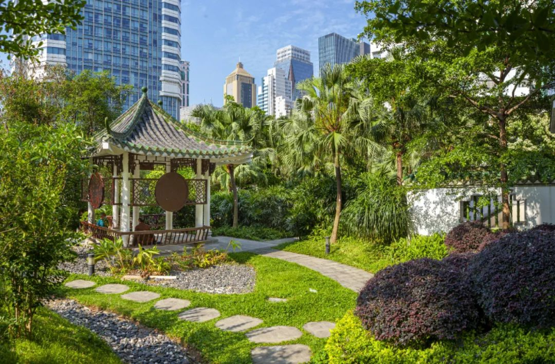 壹号见 | 老城新景：幸福感的落地