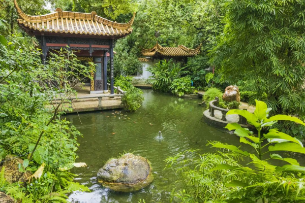 广州兰圃
