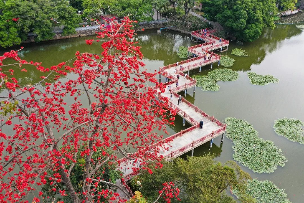 注册送彩金的平台
东山湖公园九曲桥