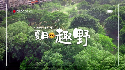 城市里的小森林！越秀绝美夏日露营地，说走就走！