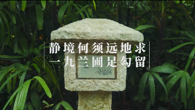 “园”梦越秀丨不出远门，身边就有的岭南园林，人少又好拍！