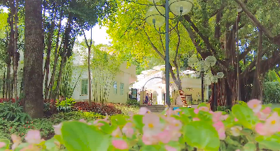 藏在公园的纯白空间！“陌上花开”，美好缓缓归来......