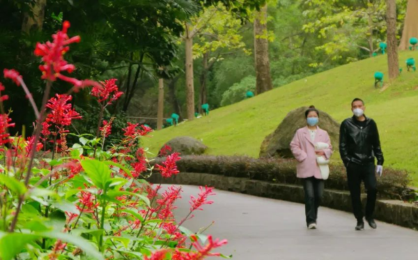 越秀公园红楼花