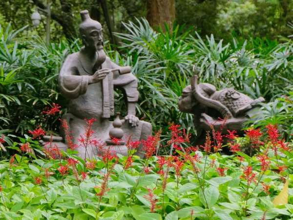 越秀公园红楼花