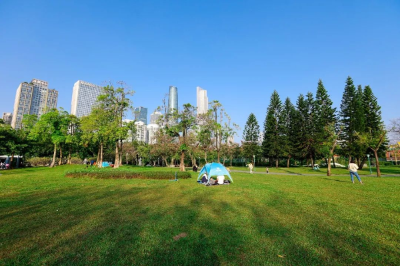 绿色越秀 | 秒回春天！来二沙岛邂逅“粉色花路”