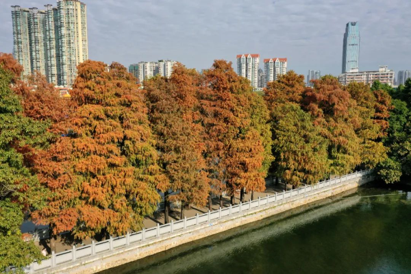 东湖公园