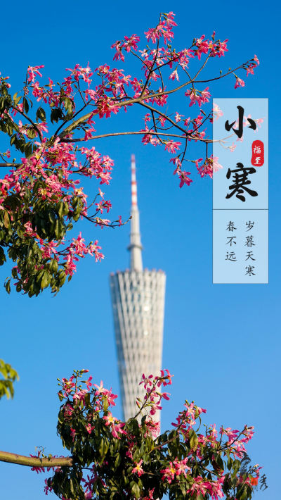 绿色越秀 | 今日小寒！可拥鲜花入怀，邂逅冬日浪漫