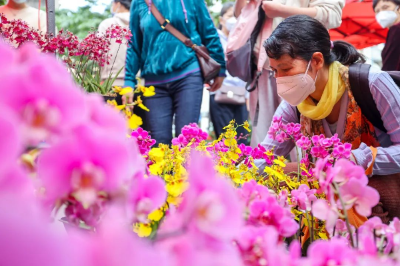 这条“珠光宝气”的老街，花市率先开档！