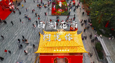 广府味·幸福年丨越秀西湖花市约定你！主牌楼、主街航拍抢先看→