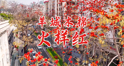 向往的春天，从越秀这些地方出发