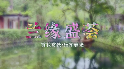 兰缘盛荟丨踏青赏兰，古风出片，越秀新晋顶流是它！