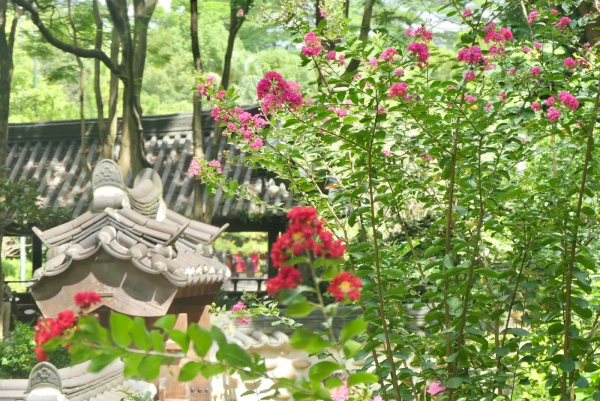 “一花两品”原来在这里