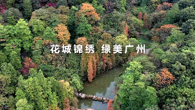花城锦绣 绿美广州