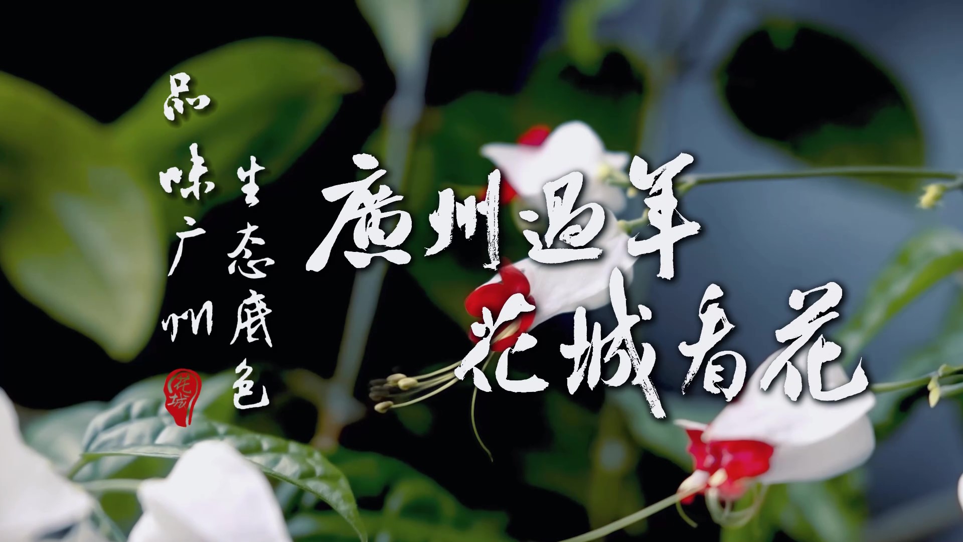 品味广州生态底色