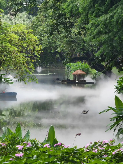 雾漫东秀湖，越秀公园仙气飘飘