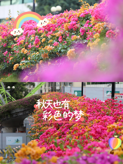 广州浪漫观景台，在花海天桥，遇见彩虹