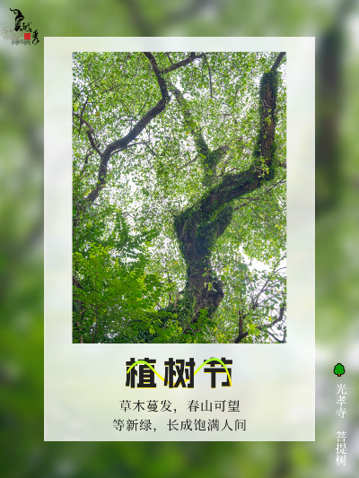 在越秀，享受植“愈”时光