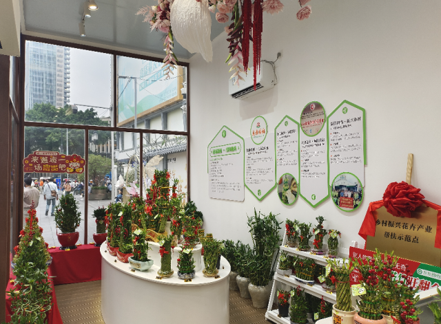 打开“立体展窗”，看越秀千年古道结出乡村振兴硕果