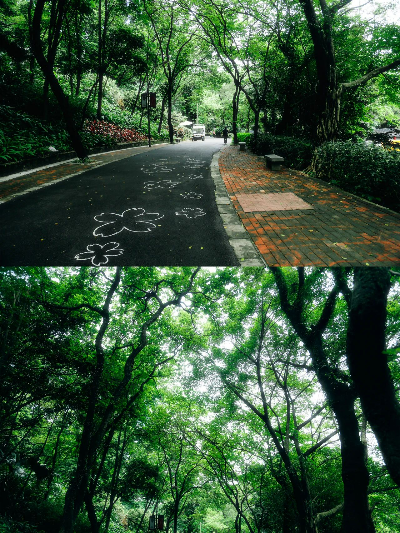 这个夏天，一定要来越秀公园走走